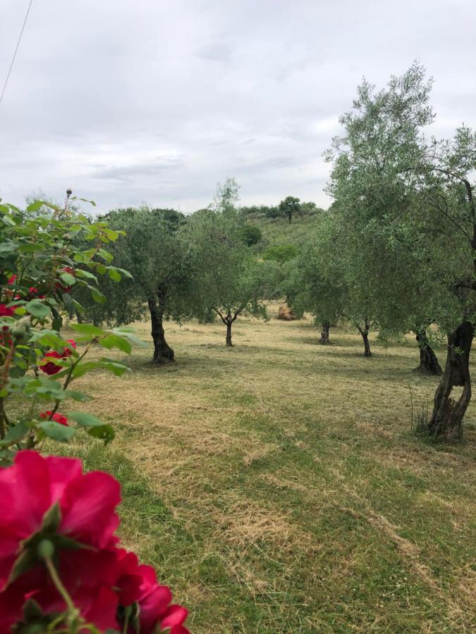 In viaggio come a casa ! Monticchio  Esterno foto